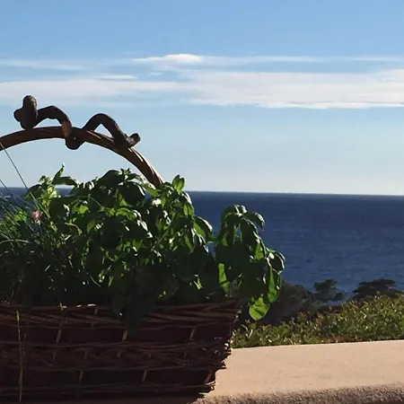 Vite & Limone Porticcio (Corsica)